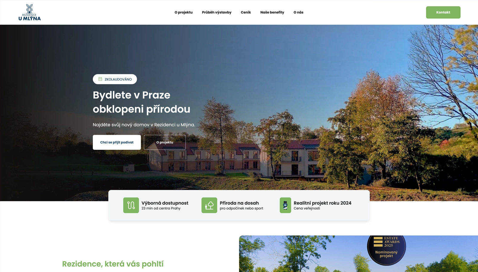 Websites and IT Infrastructure Management